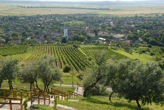 Wine Guide to Hungary