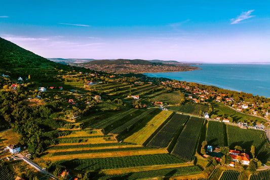 Uncorking the Beauty: A Balaton Wine Adventure in Badacsony & Csopak! 11th-14th of July.